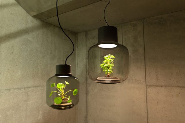 Lighting Meets Nature on this Inspiring Creation by Nui-Studio