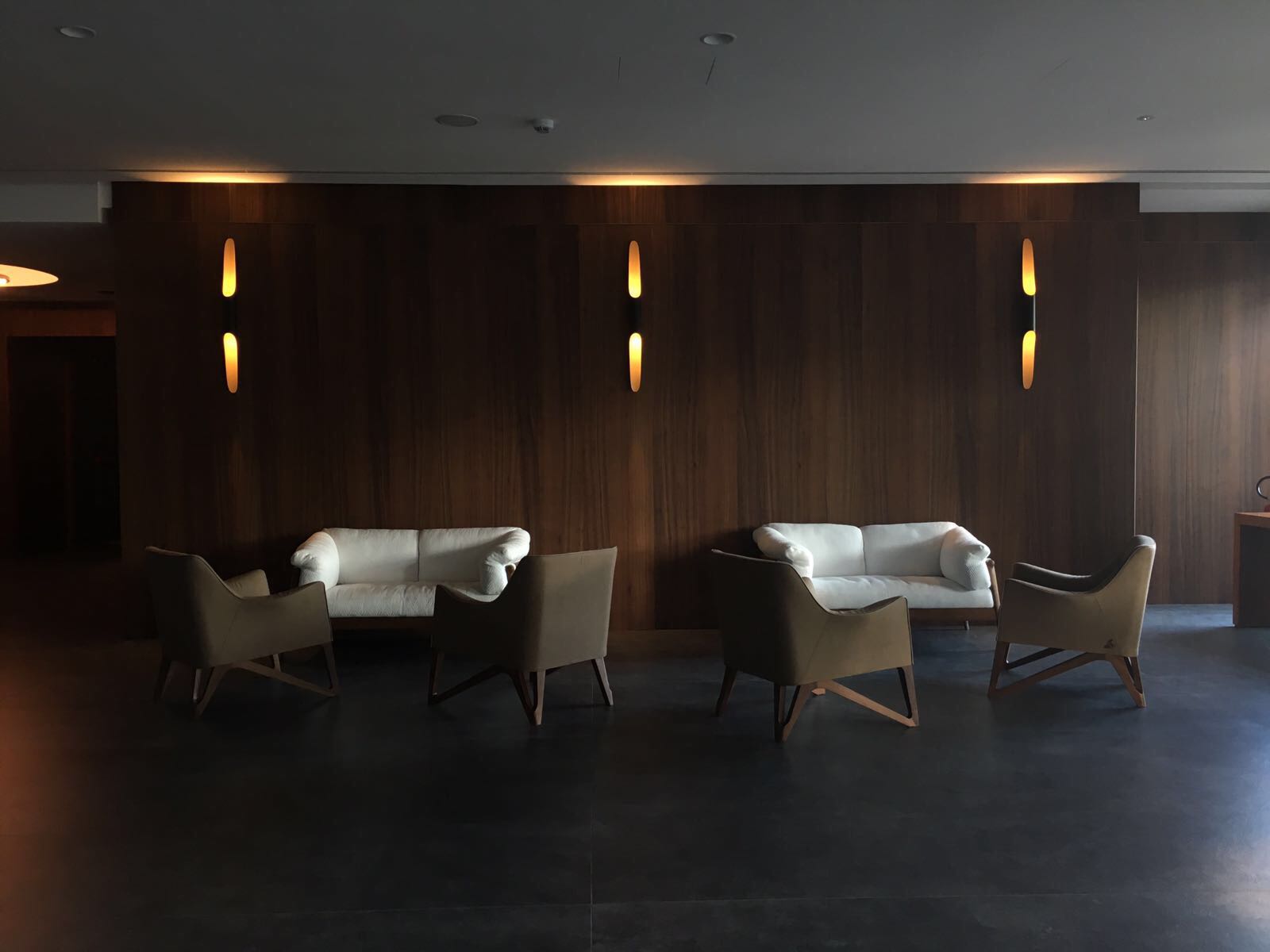 A Five-Star Hotel in Lake Garda with Bespoke Contemporary Lamps